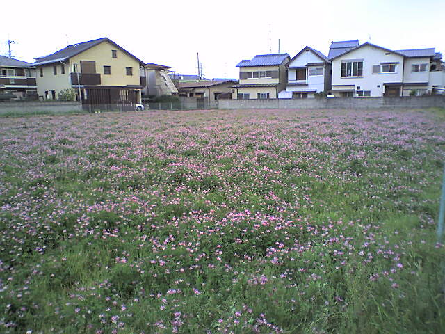 07-04-26_16-48.jpg